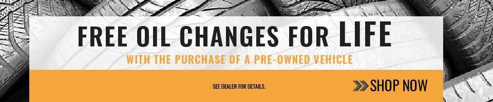 Free Oil CHange skinny banner.png