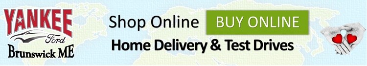 Yankee Ford Brunswick Buy Online B.jpg