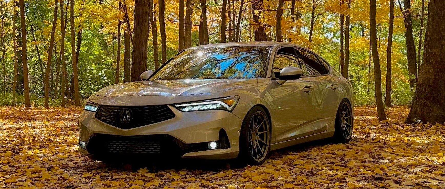 acura%20in%20fall.png