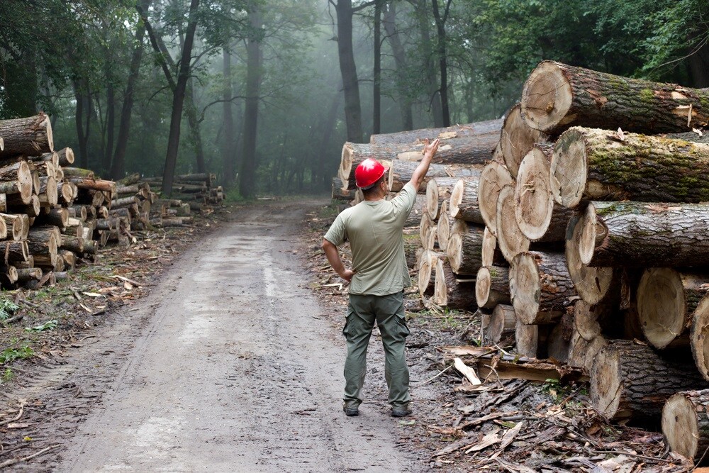Logger.jpg