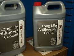 coolant (2).jpg
