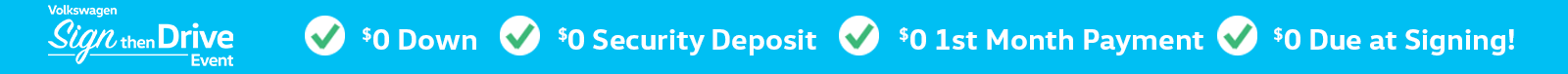 Sign Then Drive Branding.png