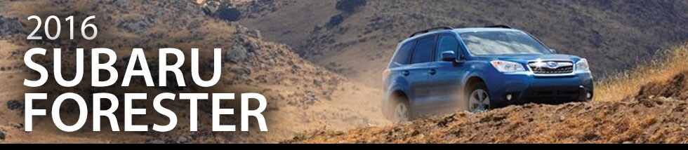 Learn more about the 2016
Subaru Forester