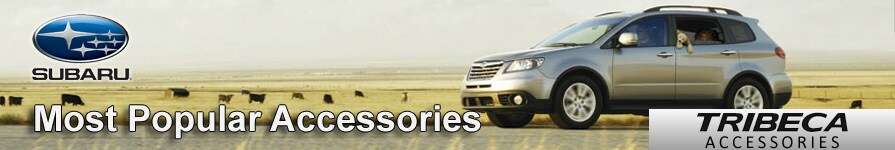 Subaru Tribeca Accessories
