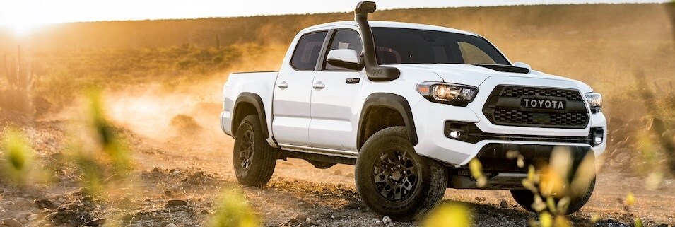 2019 Toyota Tacoma in Mansfield, OH