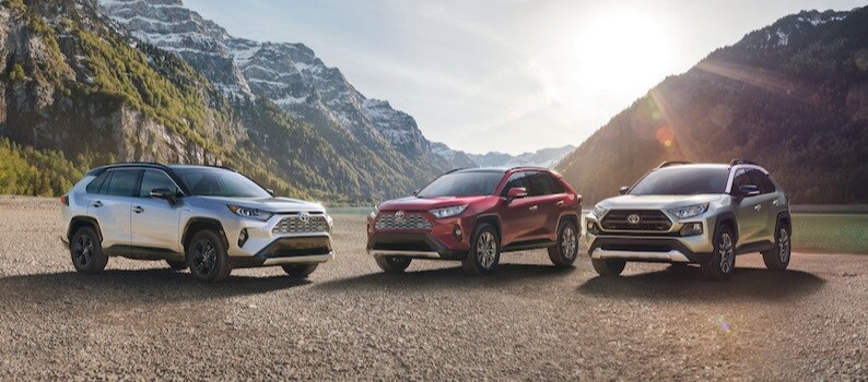 2019 Toyota RAV4 Lineup in the Mountains