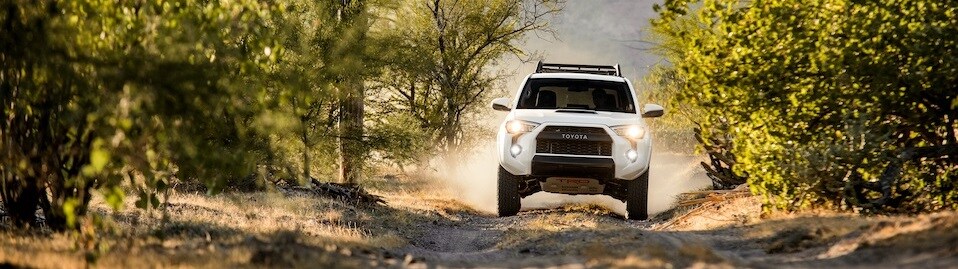 2019 Toyota 4Runner in Mansfield, OH