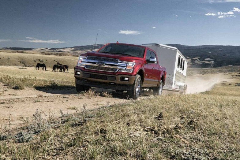 Red F150 Towing Horses.jpg