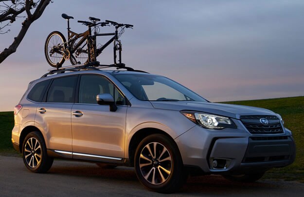 forester-4.jpg
