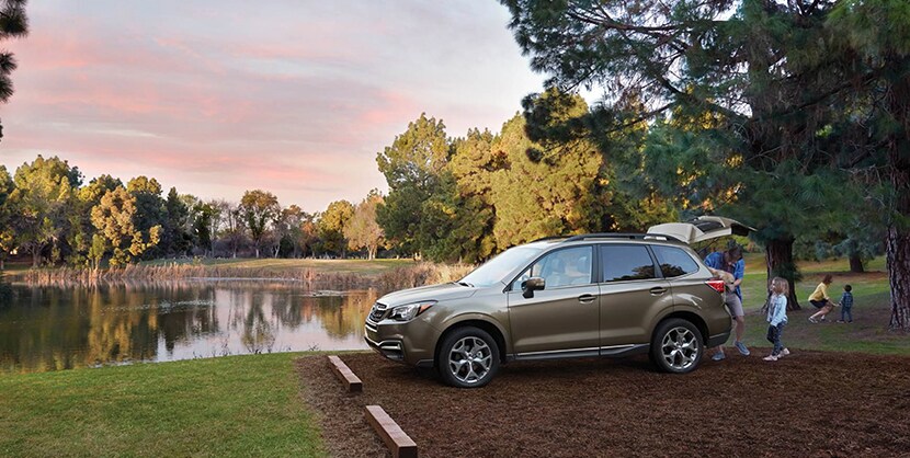 Subaru-huntington-Forester-storage-image.jpg