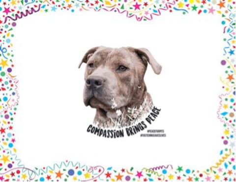 PeaceforPits1.jpg