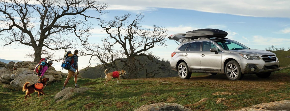best subaru suvs for families, commuters and dogs image