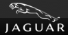 Browse Jaguar