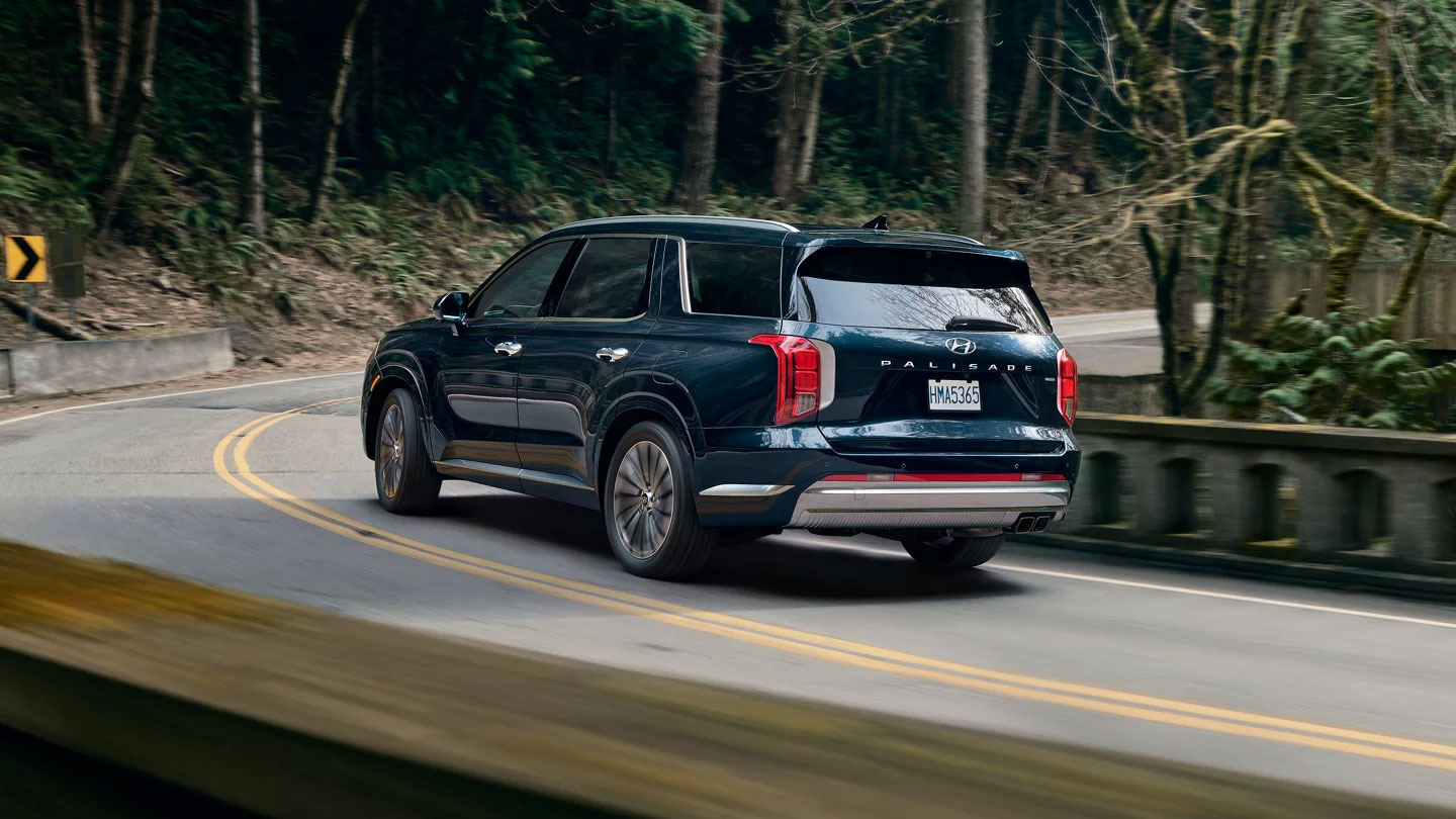 Hyundai Palisade back