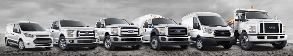 2016 Ford Fleet Commercial Trucks