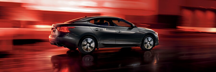 2016 Nissan Maxima 2016 Nissan Maxima