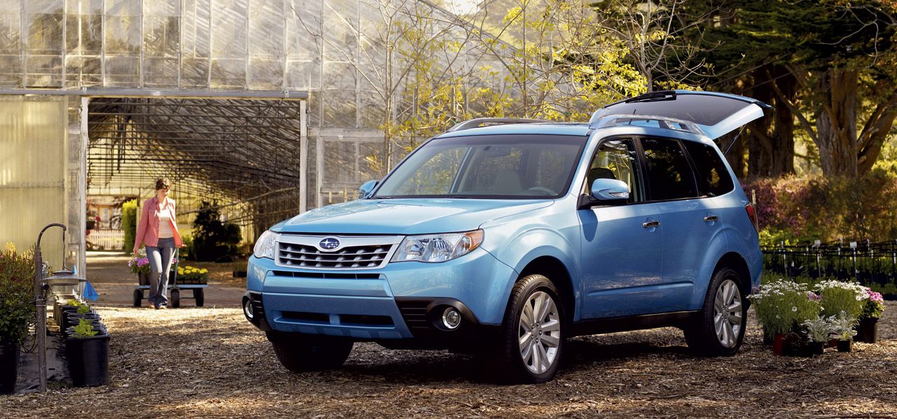 Forester.jpg