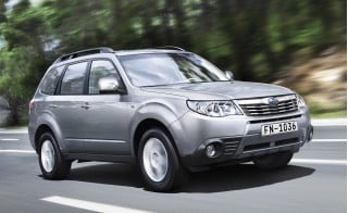 Forester1.jpg