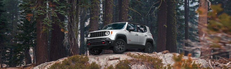 2018JeepRenegadeBanner.jpg