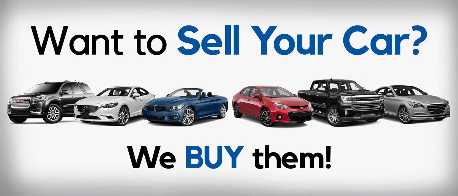 webuycars.jpeg