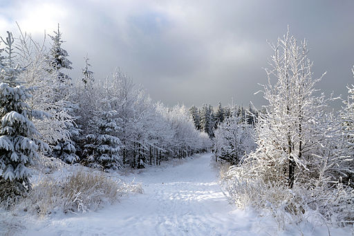 winter road.JPG