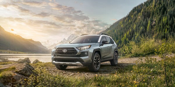 2019 Toyota RAV4 available at Green Toyota in Springfield, IL