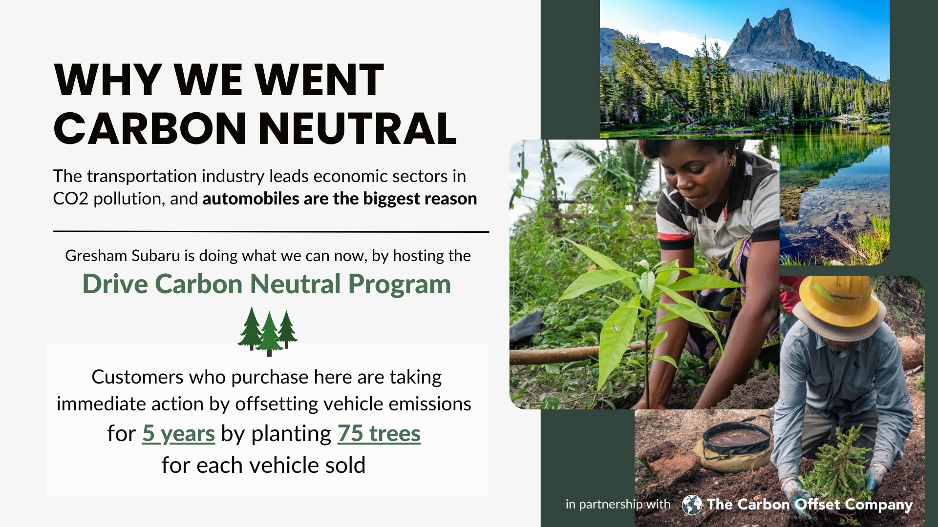 Why We Went Carbon Neutral.png