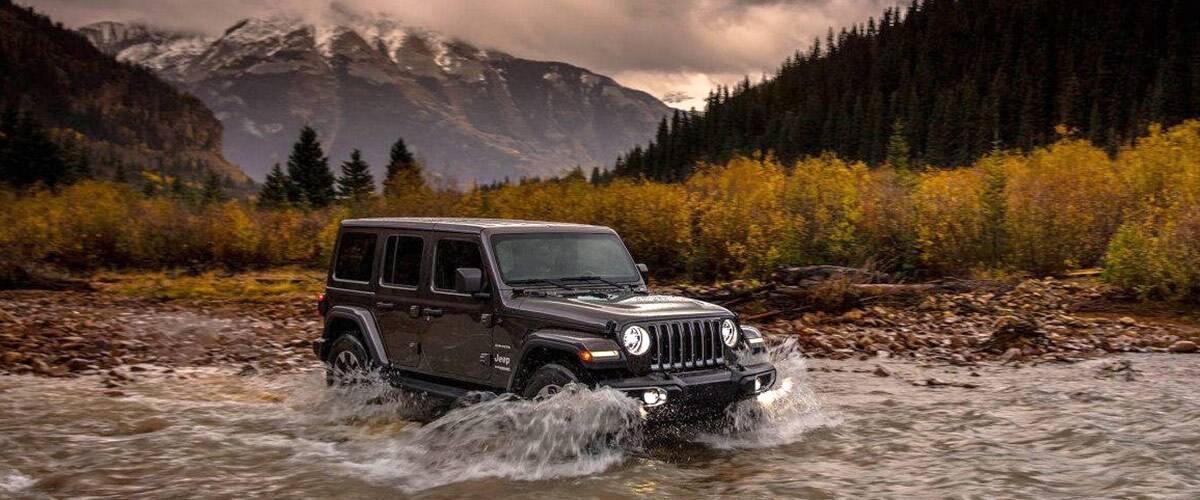header%20(2).jpg