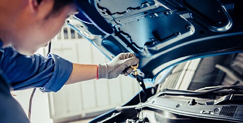 BG Transmission Fluid Exchange