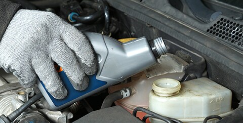 BG Brake Fluid Exchange