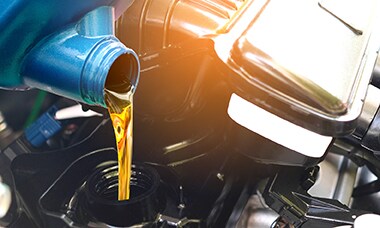 Maintenance