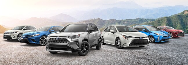 MY19-Multiple-Vehicles.jpg