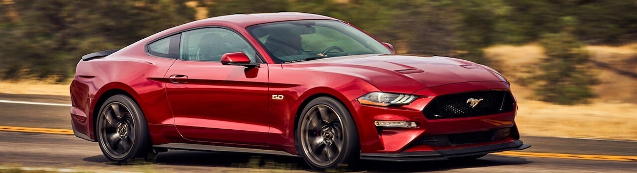 Mustang2.jpg