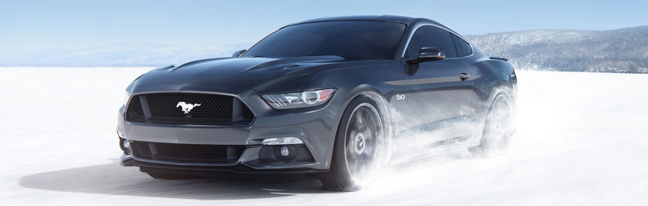 C8.jpg Black mustang