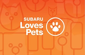 LovePromise_Pets_Bkgd_Logo.jpg
