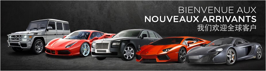 HOL_foreignnationals_header_fr.jpg