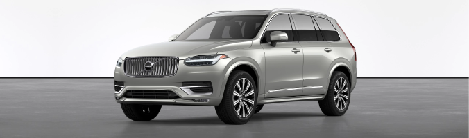 22_VOLVO_XC90_BIRCH LIGHT.png