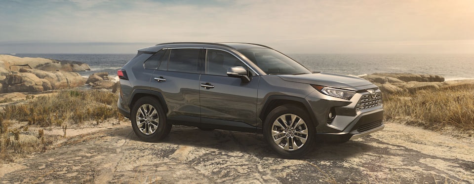 2019 Toyota RAV4 Crossover