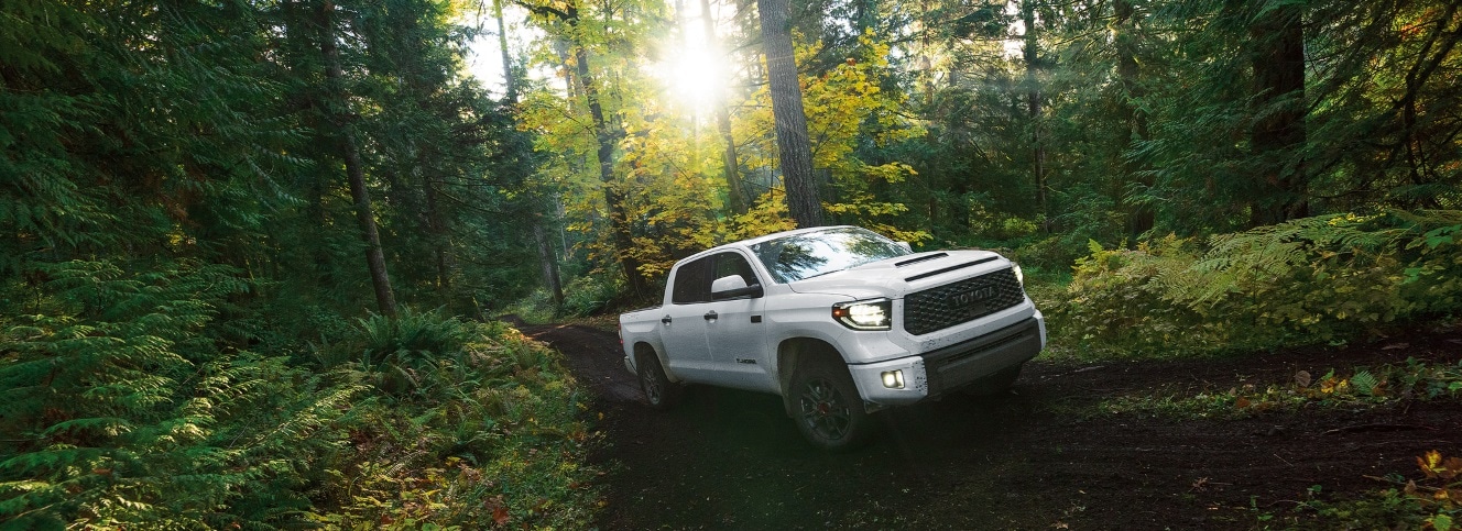 2021 Toyota Tundra TRD Pro