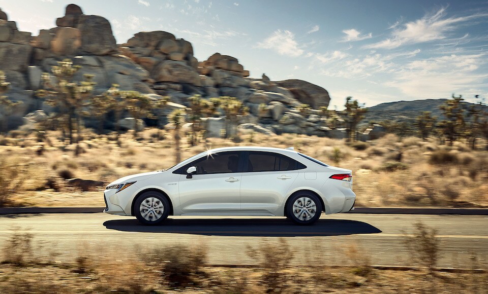 2020 Toyota Corolla in Conroe TX