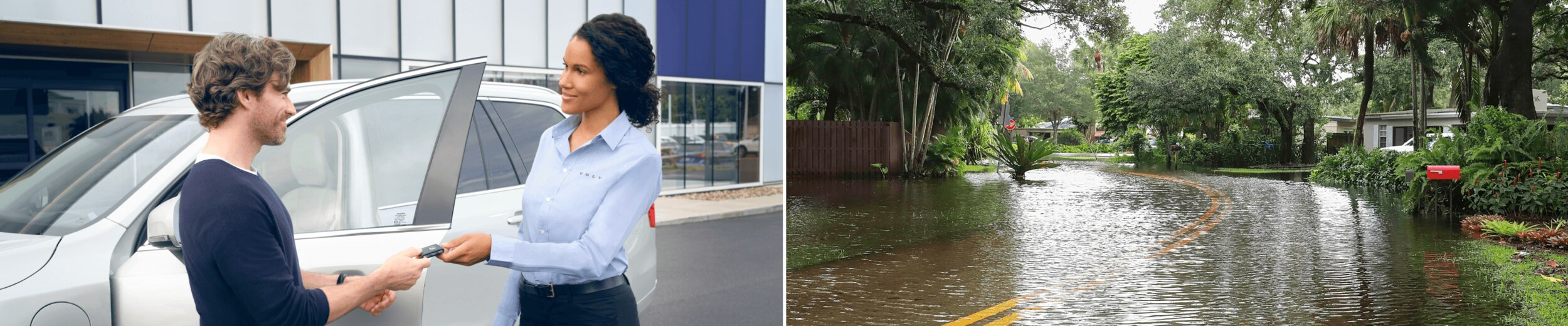 GVDB_FLOOD_HERO.png
