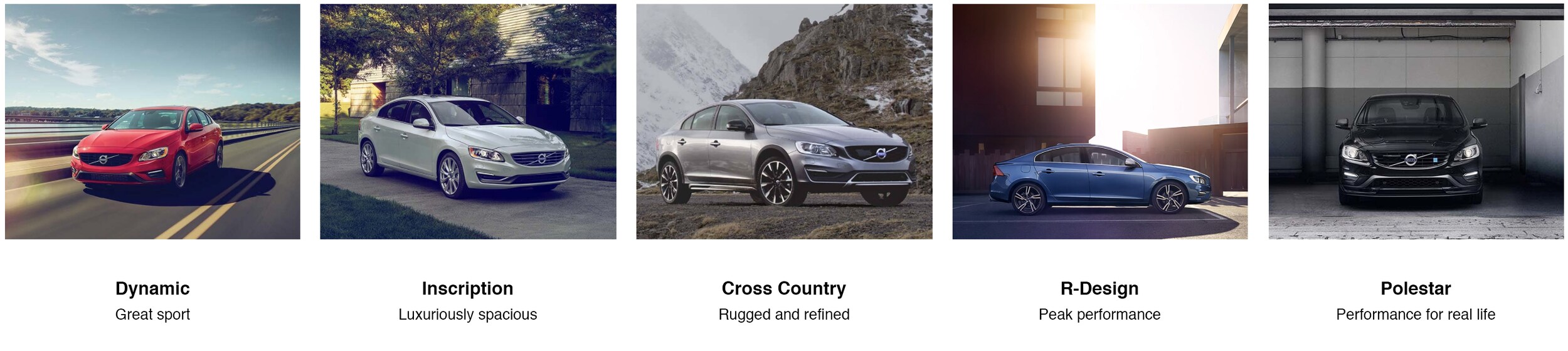 Dynamic, great sport. Inscription, luxuriously spacious. Cross country, rugged and refined. R-Design, peak performance. Polestar, performance for real life.