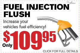 Fuel injection flush nissan #10