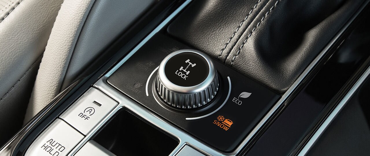 telluride drive controls.jpg