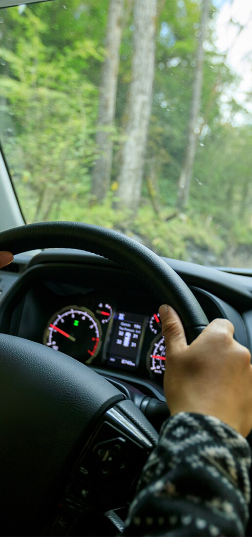 Accessories that help keep your Hyundai protected at Haddad Hyundai in Pittsfield, MA | View of person driving his car with hands on the steering wheel in the woods
