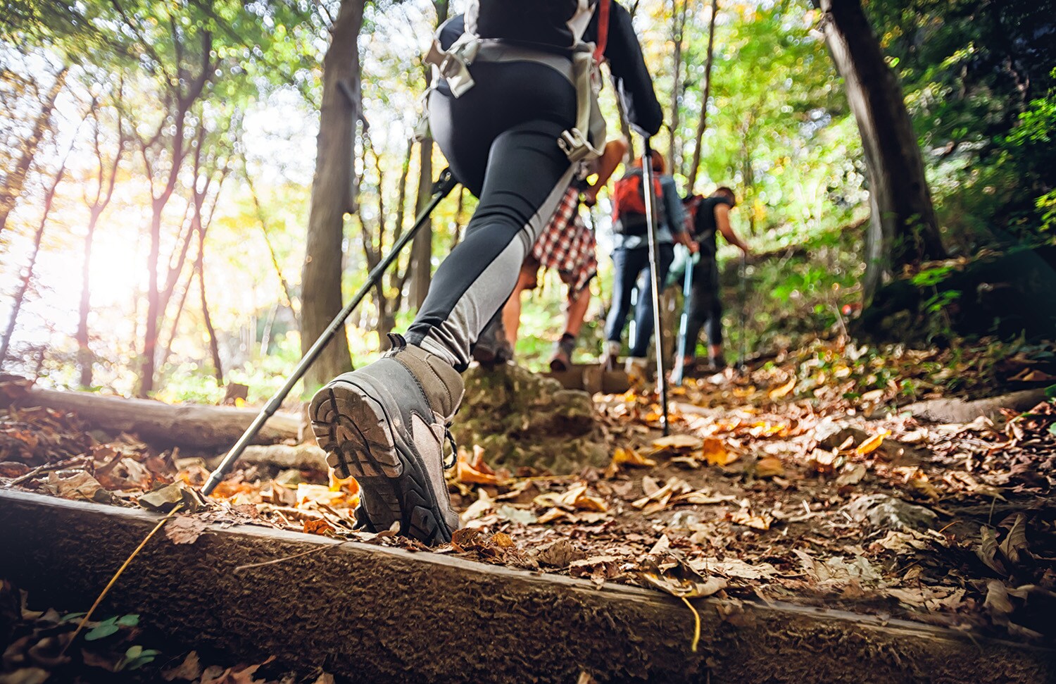 Haddad Hyundai Dealership near Williamstown, MA | Group of friends hiking and mountain climbing