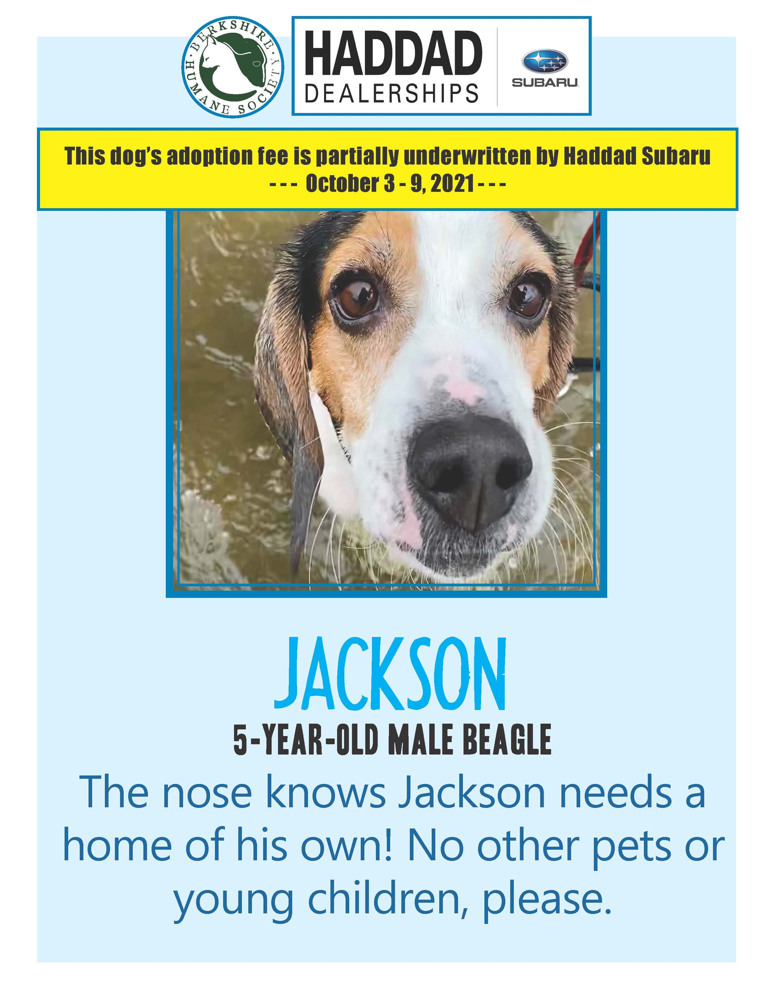Jacksoinindd (002).jpg
