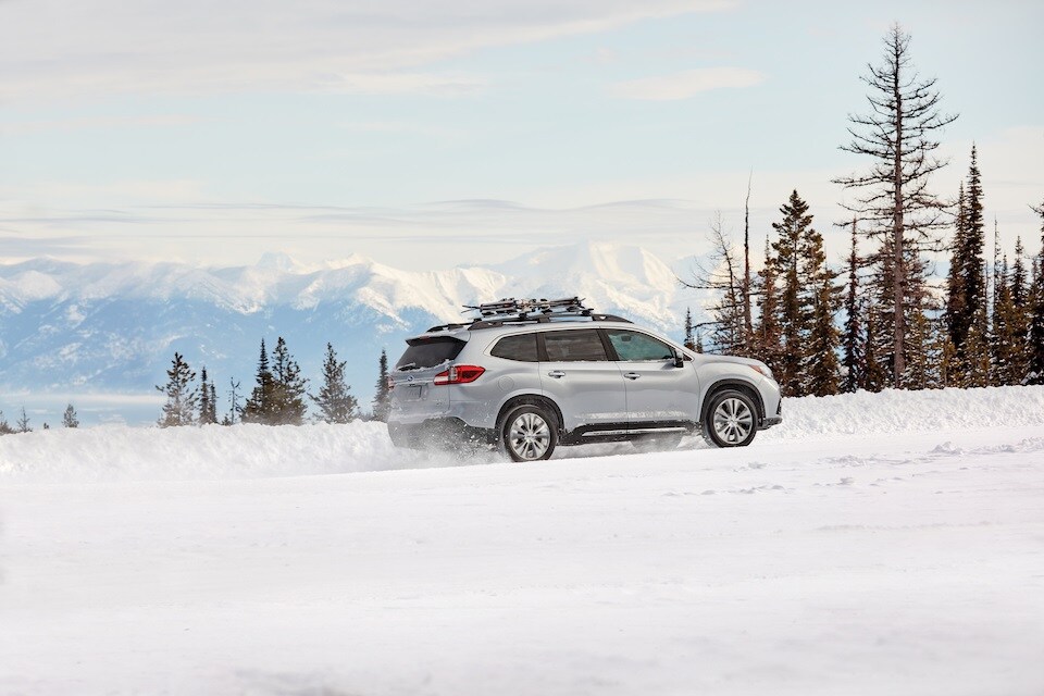 2020 Subaru Ascent.jpg