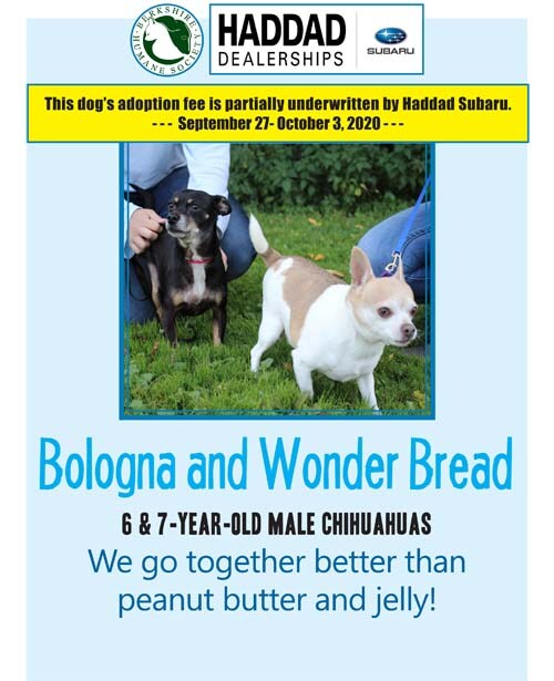 Bologna.jpg
