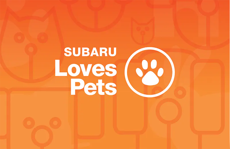 SNE loves pets.png